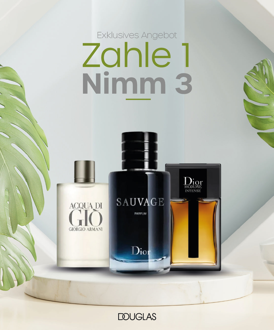 Lagerverkauf – 3 importierte Herrendüfte (je 100 ml) – Sauvage Dior | Dior Home | Acqua di Giò